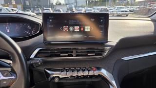 PEUGEOT 3008 usata, con Portellone posteriore elettrico