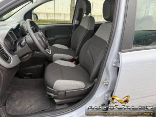 FIAT Panda usata, con Servosterzo