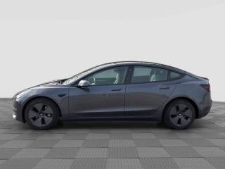 TESLA Model 3 usata 1