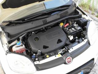 FIAT Panda usata 42