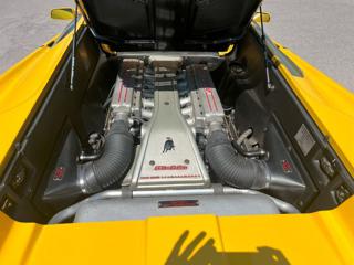 LAMBORGHINI Diablo usata, con Servosterzo