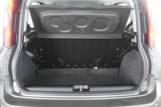 FIAT Panda usata 11