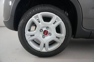FIAT Panda usata, con Antifurto