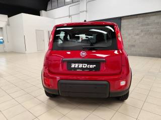 FIAT Panda usata, con Controllo trazione