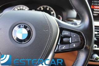 BMW 520 usata, con Fendinebbia