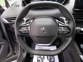 PEUGEOT 3008 usata, con Cronologia tagliandi