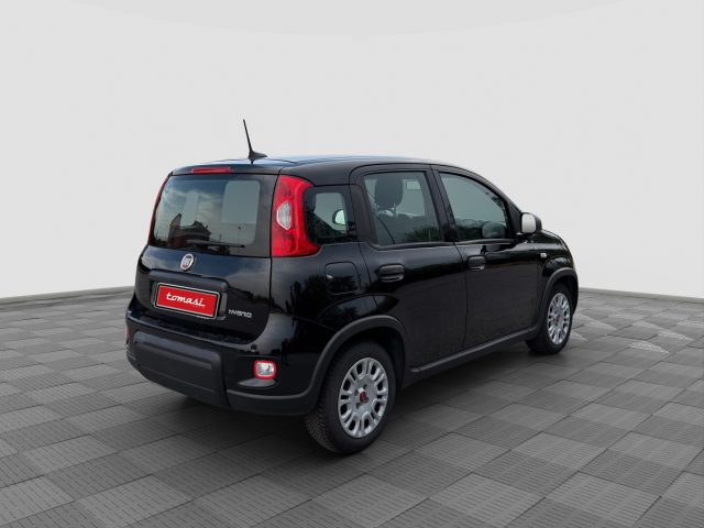 FIAT Panda usata 4