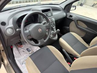 FIAT Panda usata 13