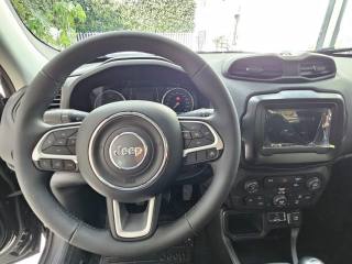 JEEP Renegade usata, con Climatizzatore