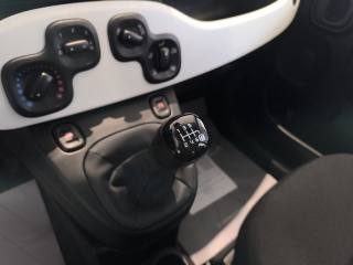 FIAT Pandina usata, con Cruise Control