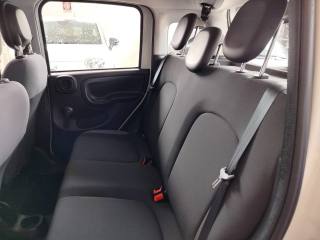 FIAT Panda usata 12