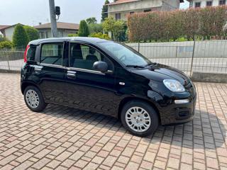 FIAT Panda usata, con Airbag Passeggero