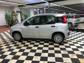 FIAT Panda usata, con Controllo trazione