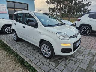 FIAT Panda usata, con Climatizzatore