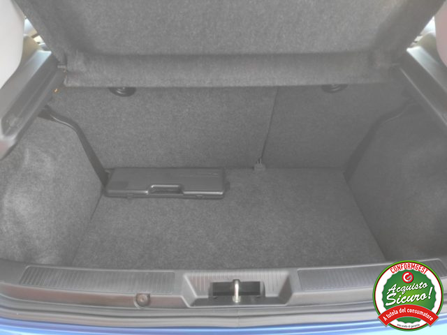 FIAT Punto usata 18
