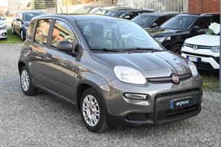 FIAT Panda usata, con Airbag laterali