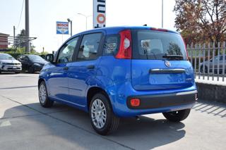 FIAT Panda usata, con Alzacristalli elettrici