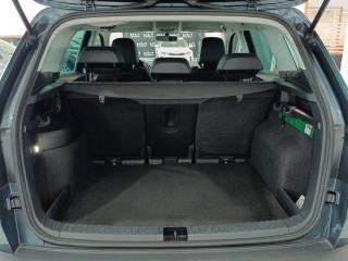 SKODA Karoq usata, con Fendinebbia