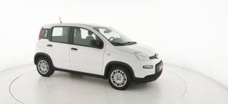 FIAT Panda usata 21
