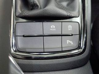 SKODA Kamiq usata, con Specchietti laterali elettrici