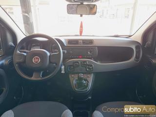 FIAT Panda usata 20