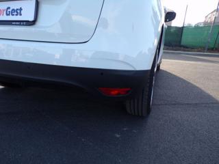 RENAULT Scenic usata 105