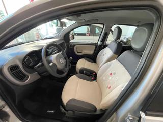 FIAT Panda usata, con Airbag testa