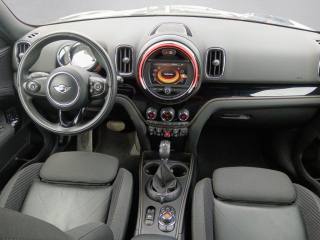 MINI Countryman usata, con Park Distance Control