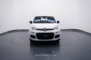 FIAT New Panda usata, con Airbag