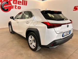 LEXUS UX 250h usata, con Airbag laterali