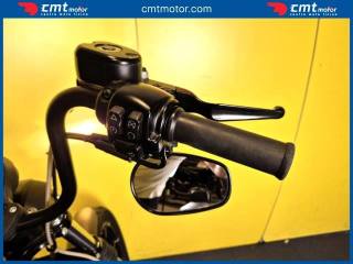 HARLEY-DAVIDSON 883 Iron usata 12