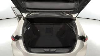 PEUGEOT 308 usata, con Autoradio