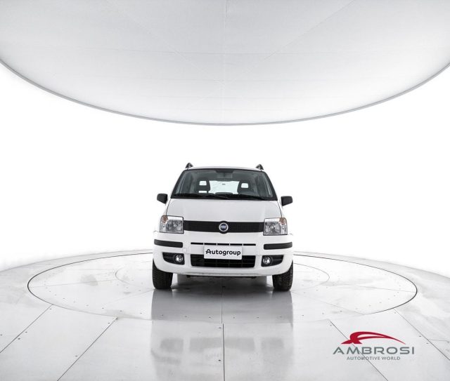 FIAT Panda usata 4