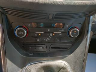 FORD C-Max usata, con Cronologia tagliandi