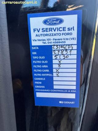 FORD Tourneo Custom usata, con Fendinebbia