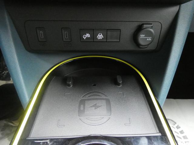 FIAT Grande Panda usata, con Volante in pelle