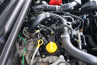 RENAULT Clio usata 48