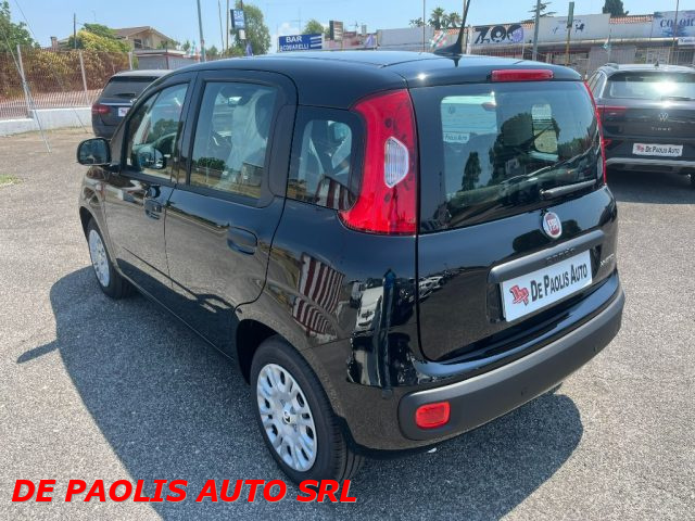 FIAT Panda usata, con Airbag Passeggero