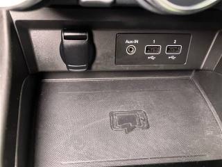 RENAULT Arkana usata 22