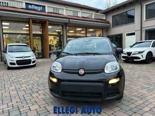 FIAT Panda usata, con Immobilizzatore elettronico