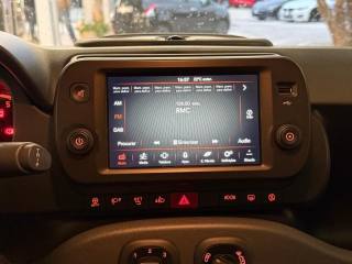 FIAT Panda Cross usata, con Specchietti laterali elettrici
