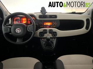 FIAT Panda usata, con Fendinebbia