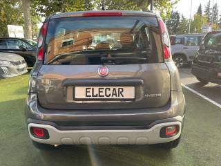 FIAT Panda usata, con Antifurto