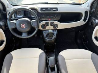 FIAT Panda usata, con Climatizzatore