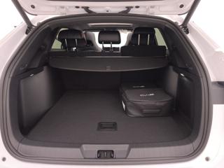 BYD Seal U usata, con Luci diurne LED