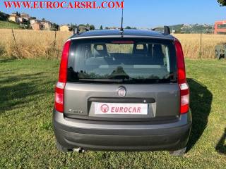 FIAT Panda usata, con Controllo automatico clima