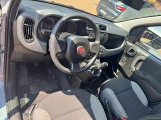 FIAT Panda usata, con ESP