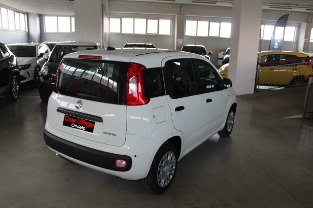 FIAT Panda usata, con Airbag Passeggero