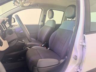 FIAT Panda usata 15