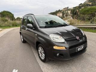 FIAT Panda usata, con Cronologia tagliandi